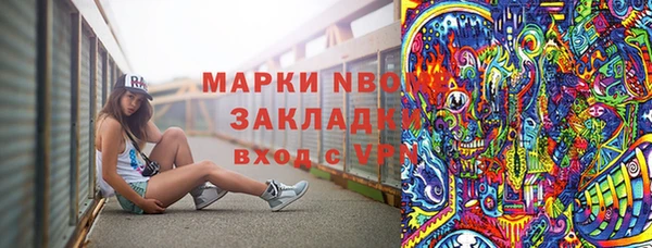соль ск Вяземский